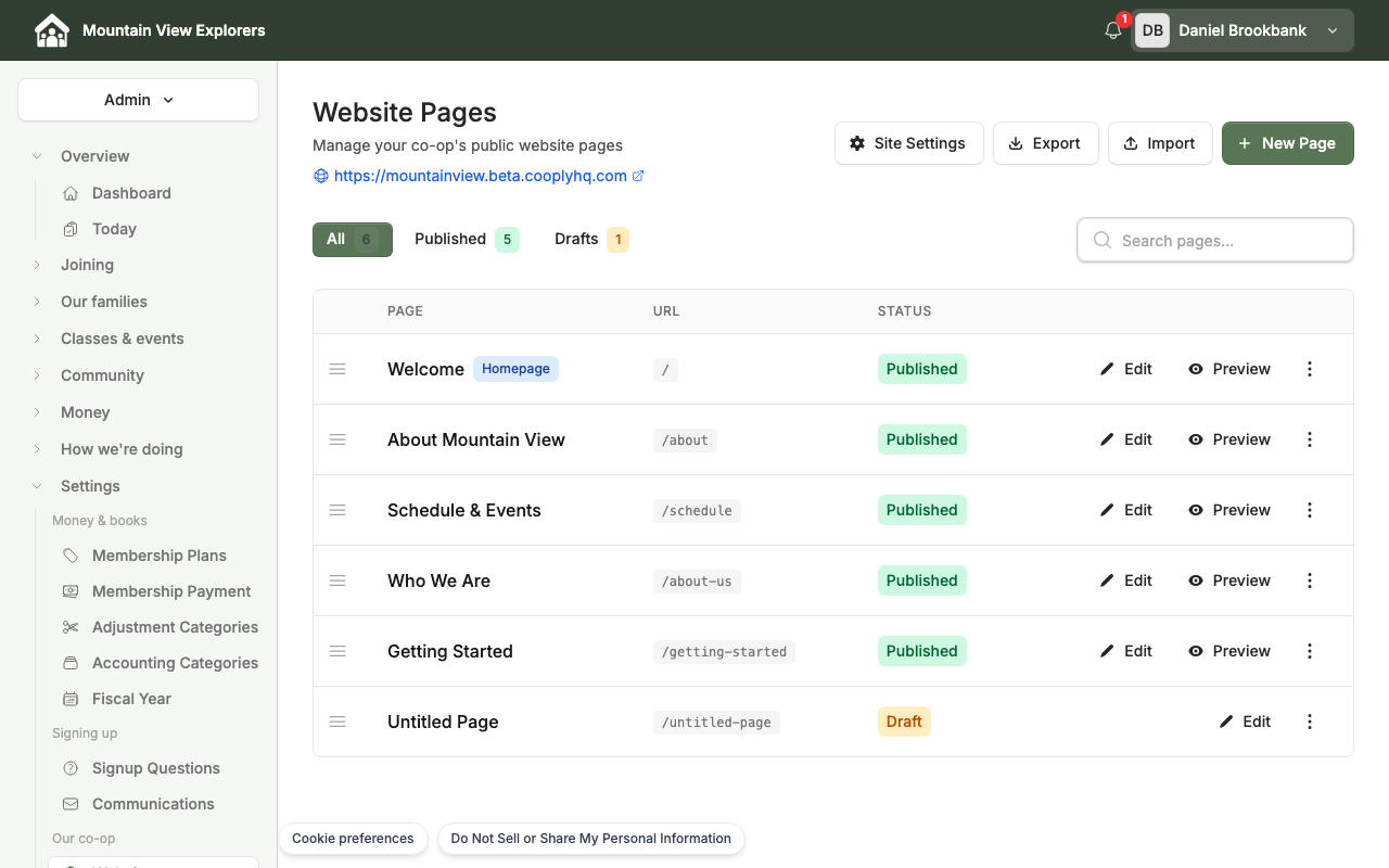 Website Pages list with the New Page button